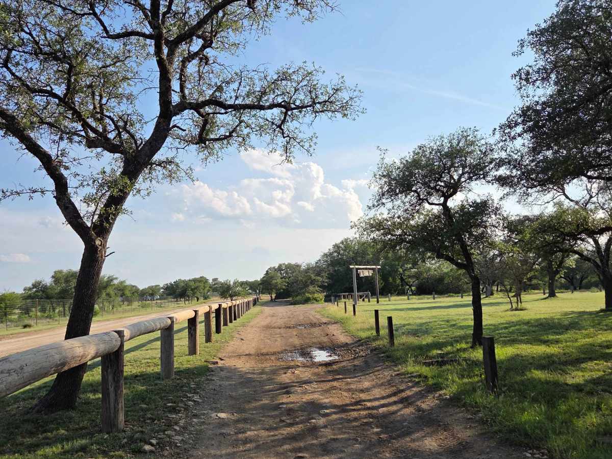 AB Access Trail photo 2