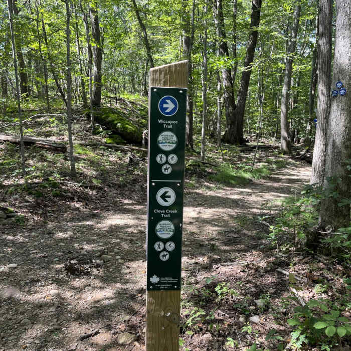 Near Charcoal Burners Loop