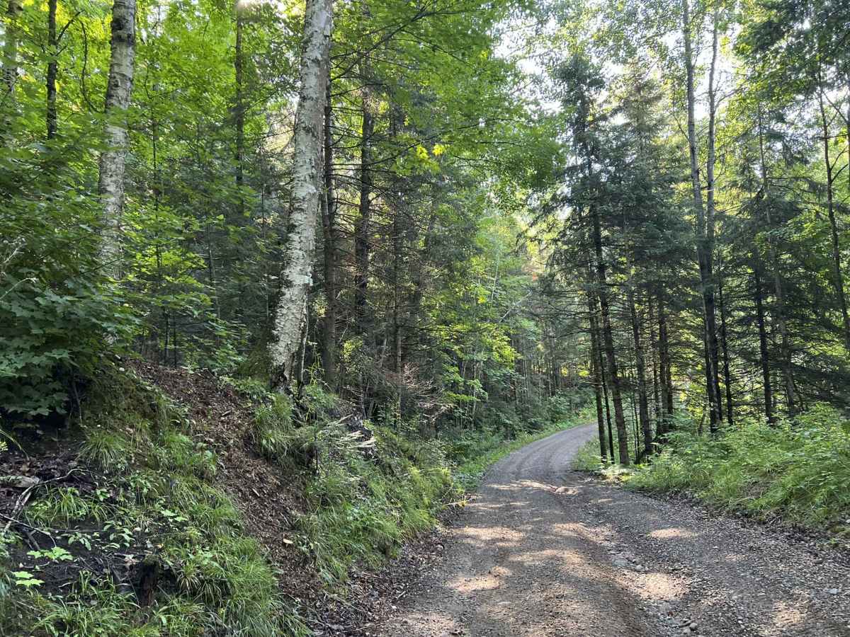 Rock Creek Road - Florence County F14 photo 4