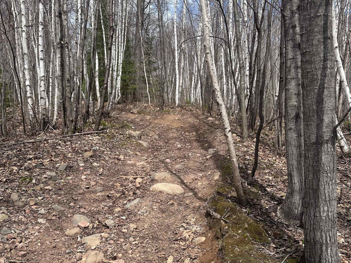 Wilderness Trail photo 5