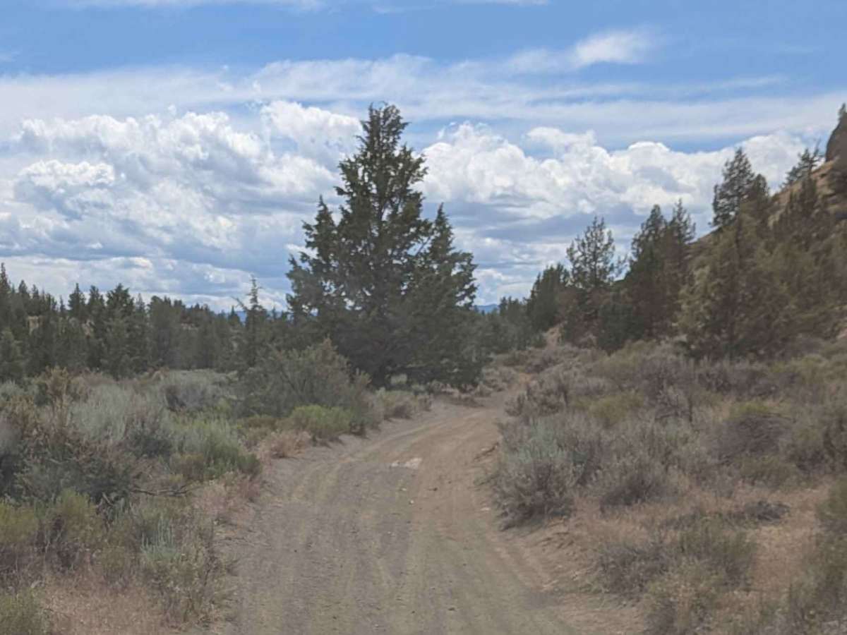 Cline Buttes OHV Trail 23 photo 4