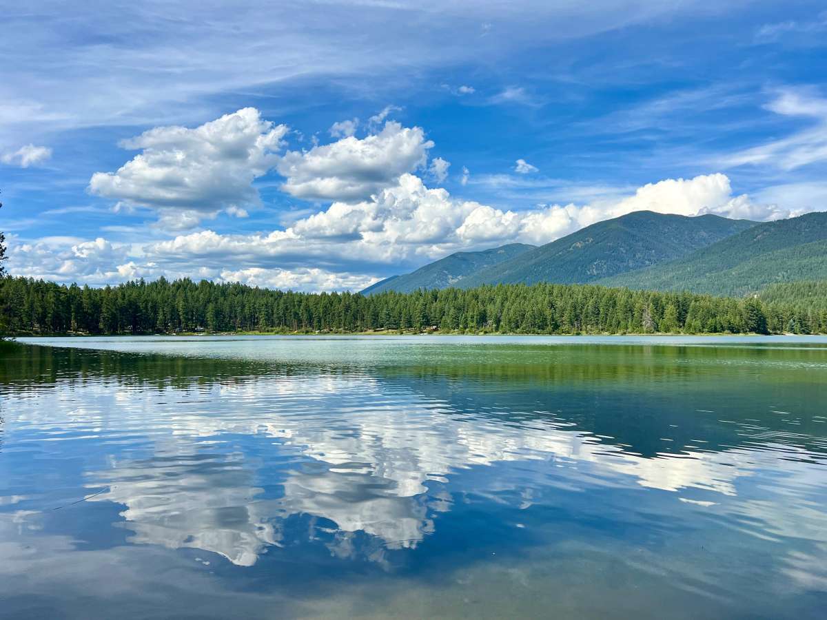 Loon Lake Recreation Area Trail trail photo
