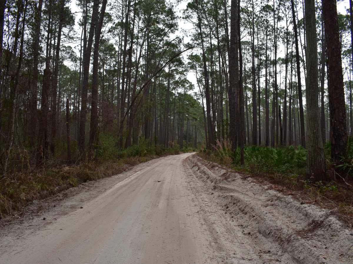 Elijah Dobson Road photo 2