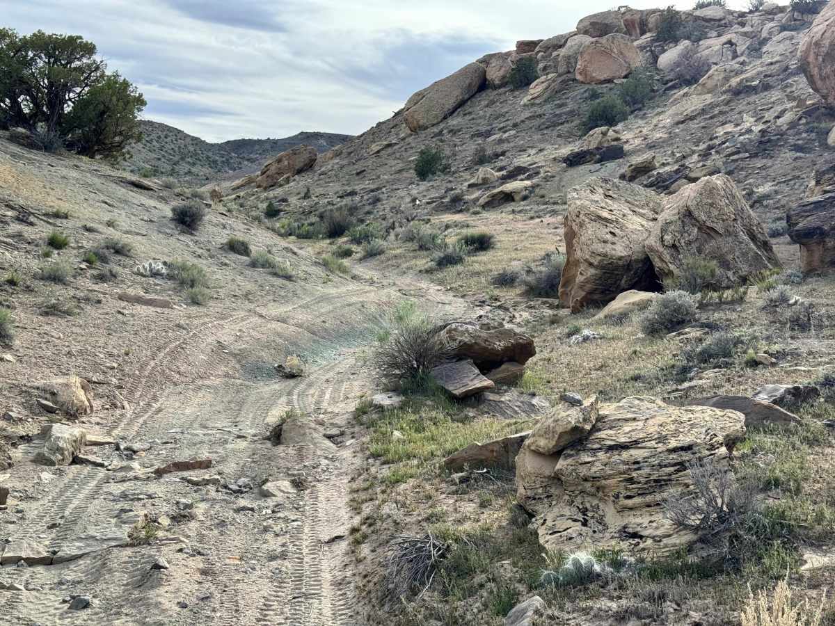 Cisco Claymore Hills photo 2