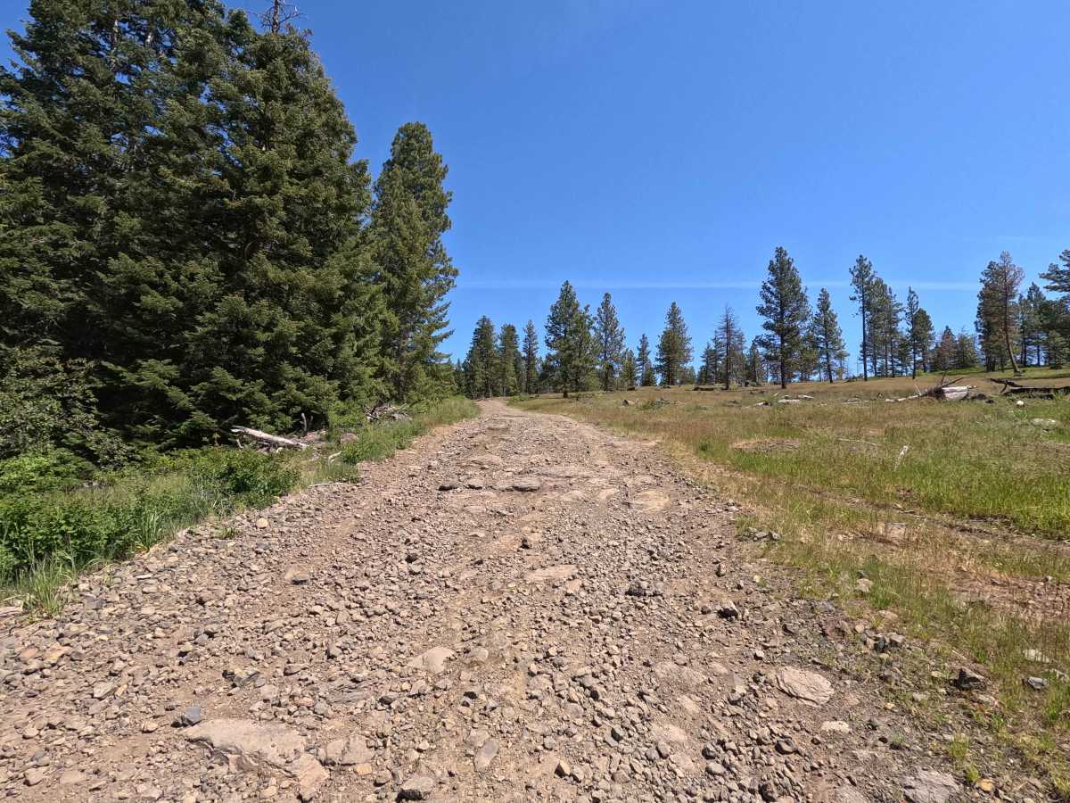 Mainline - Trail 201 photo 3