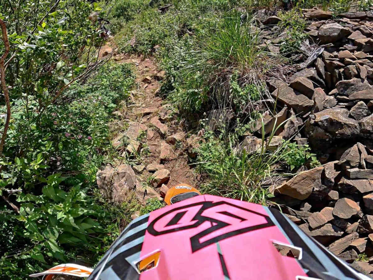 Spring Creek photo 2