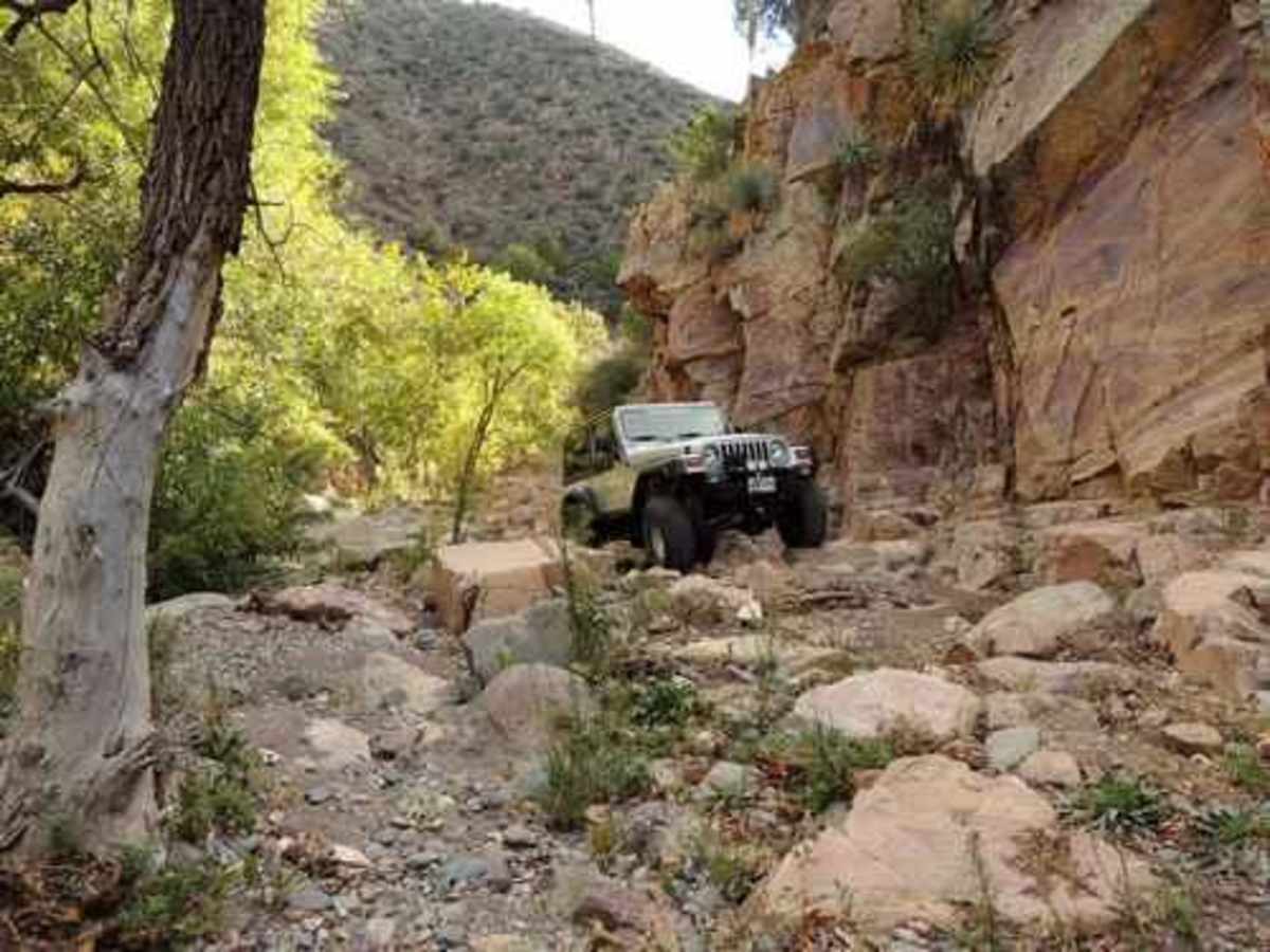 Sunflower Mine trail photo