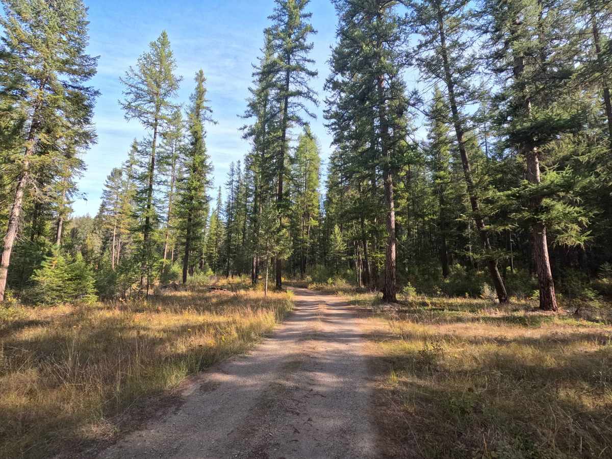 Winslow Camp Road photo 4