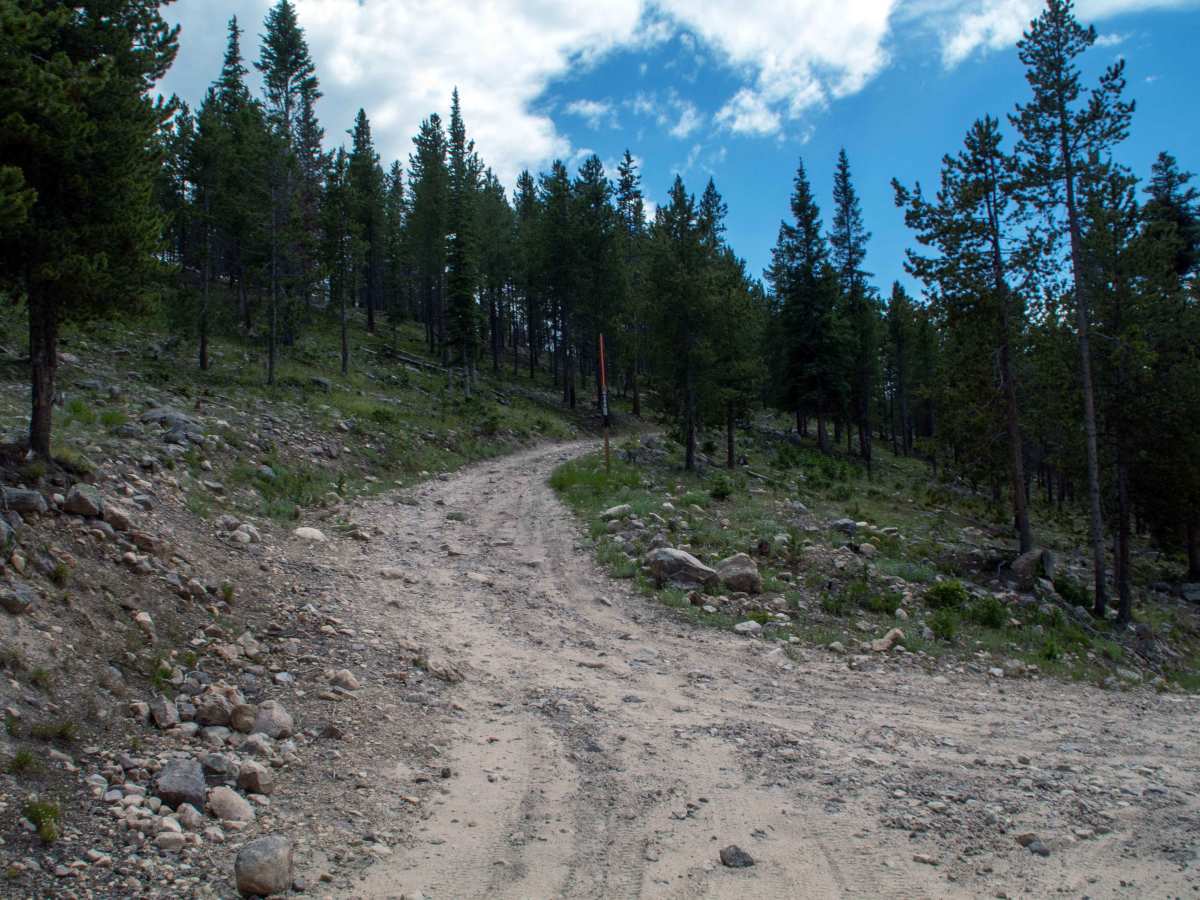 Alexander Loop - FR80940 photo 3