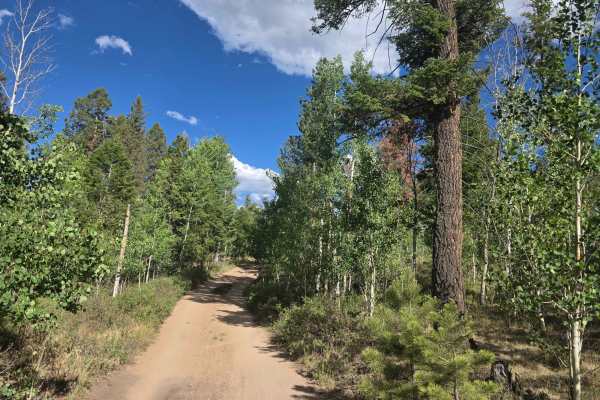 Springer Gulch Road - FS 246