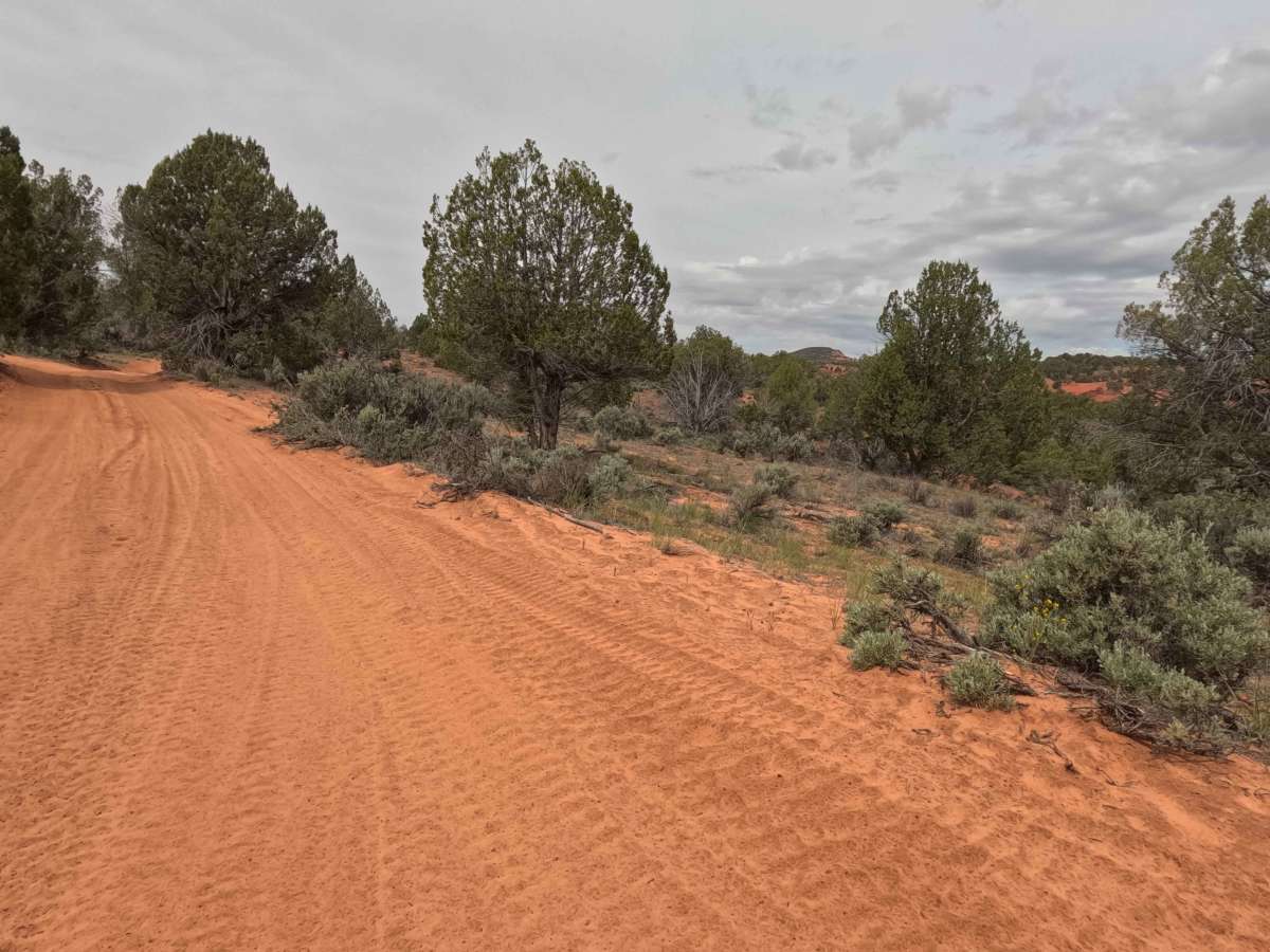 BLM 64E (1155) photo 2