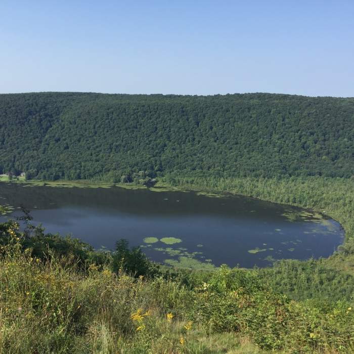 Labrador Pond from overlook. Near Tinker Falls Upper Loop