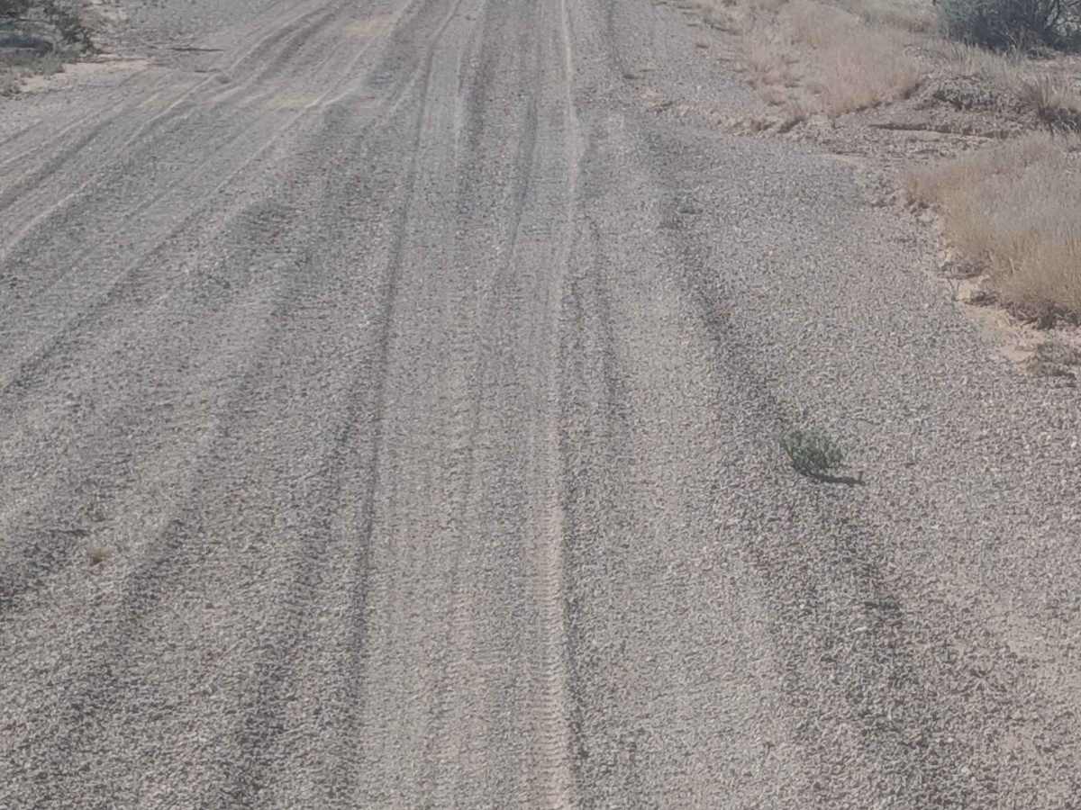 BLM 920 trail photo