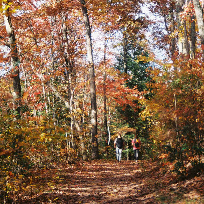 Near Lula Lake Land Trust: Middle Trail Near Lula Lake Land Trust: Middle Trail