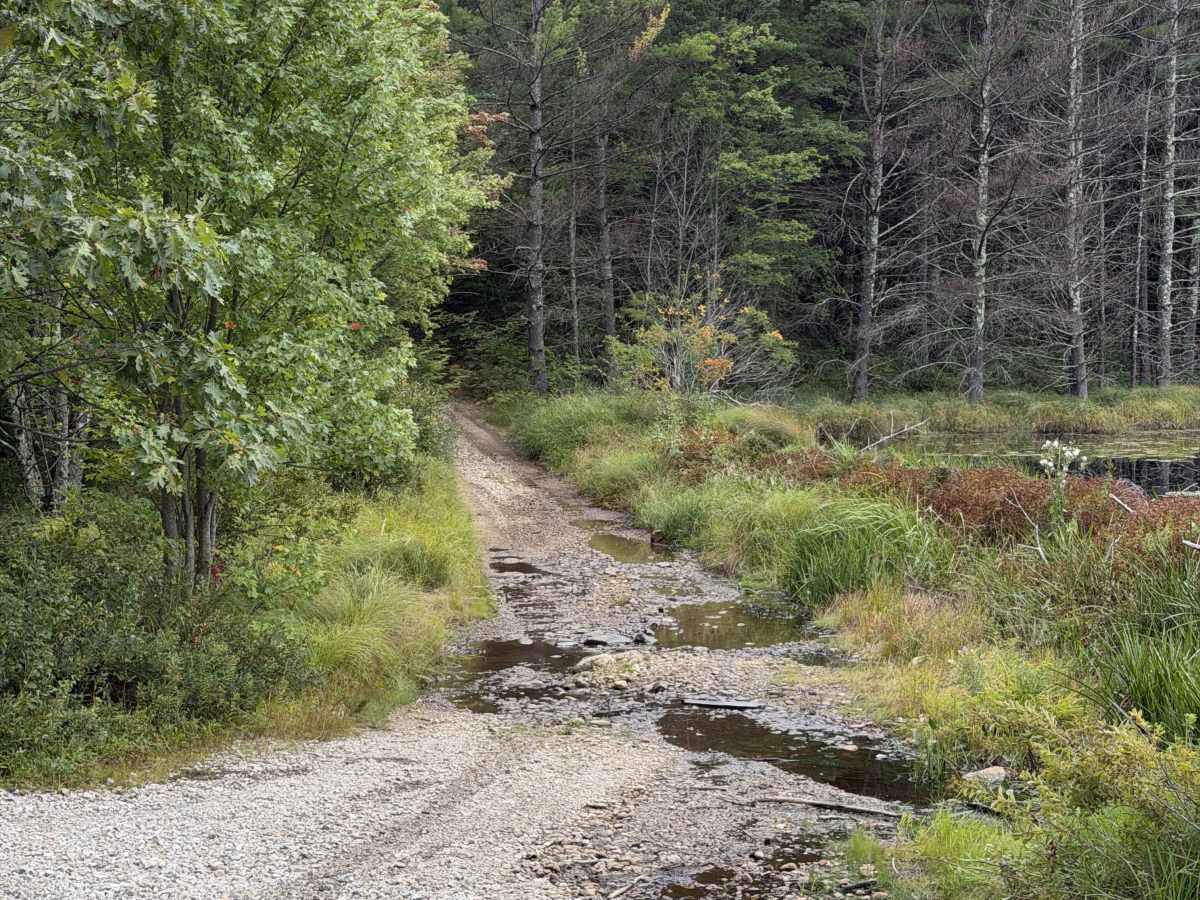Edan Page Road trail photo