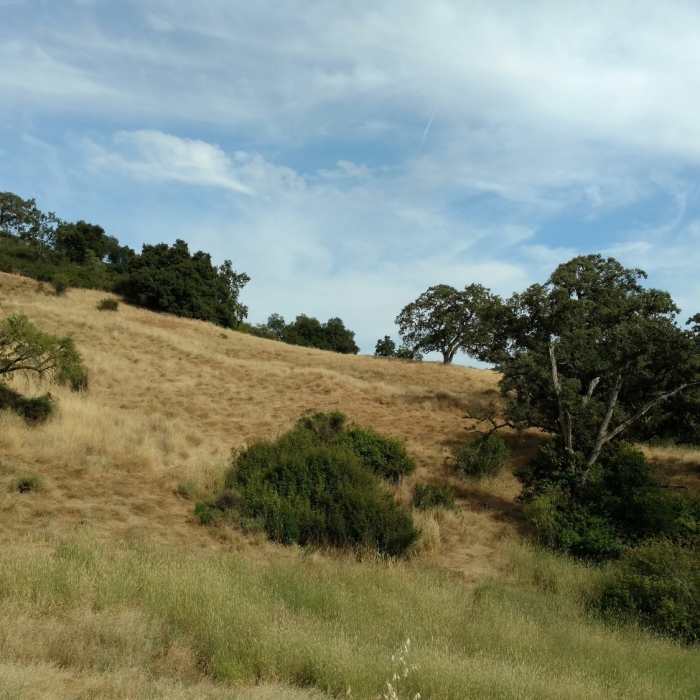 Near Quicksilver - McAbee Loop CCW