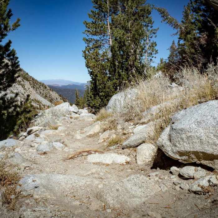 Near Valentine Lake Trail