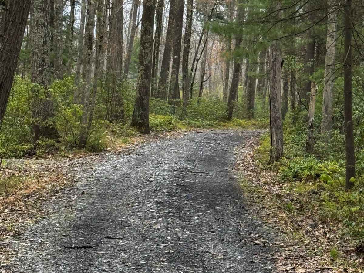 Harrowed Trail photo 4