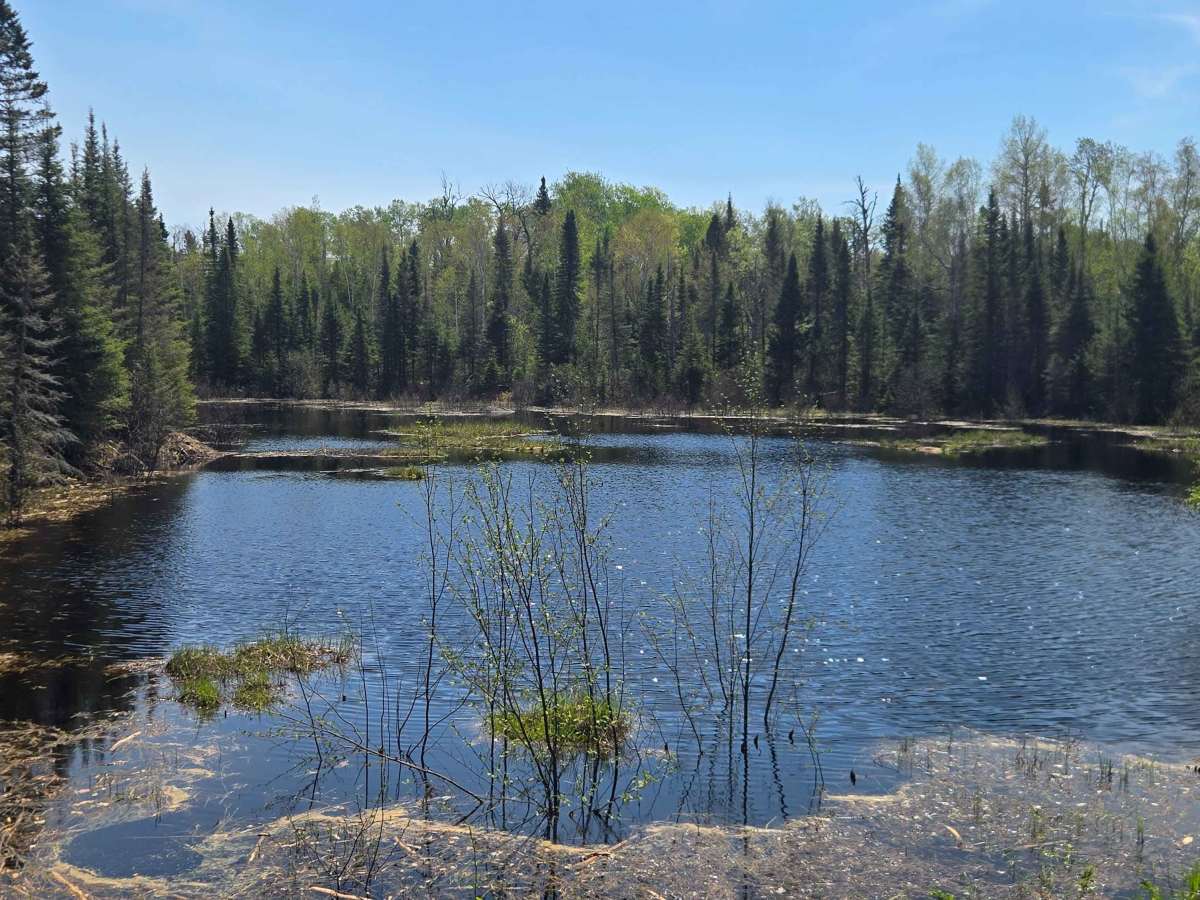 Whitefish Lake Trail photo 6