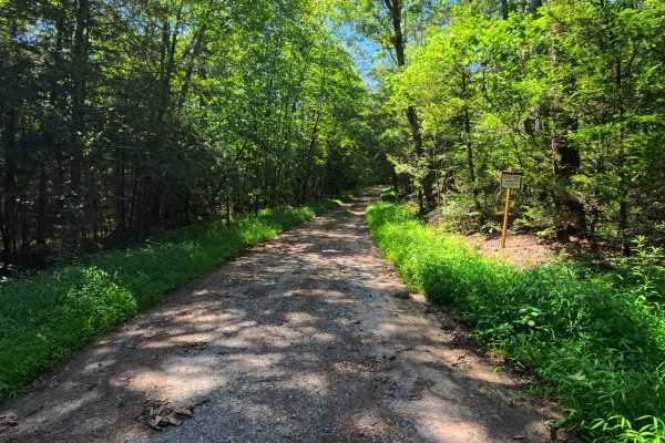 Leading Ridge Road