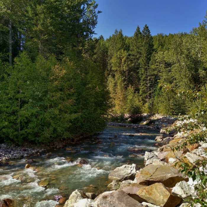 Canyon Creek near the start of Canyon Creek Trail, downstream of its run through the canyon. Near Canyon Creek Out and Back