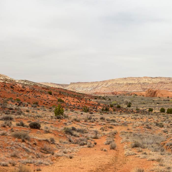 Near Halls Creek Drainage