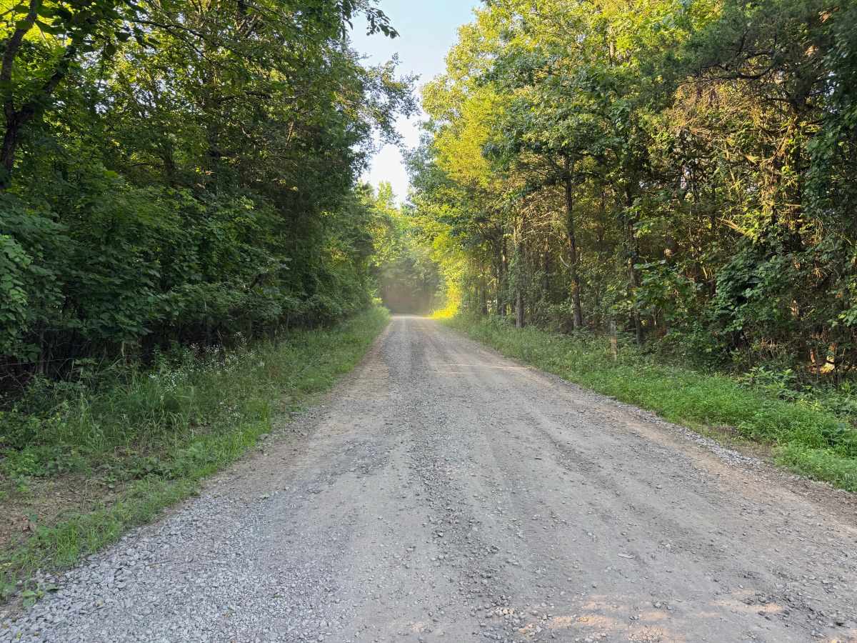 Elkins Hollow photo 5