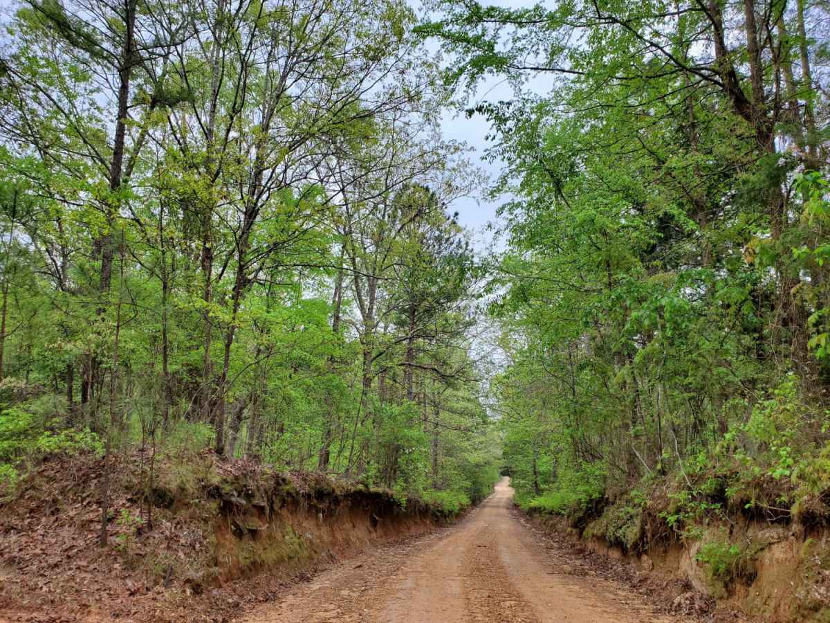The Arkansas Overland Route - Section 6 - Highway 278 to Highway 79 photo 4