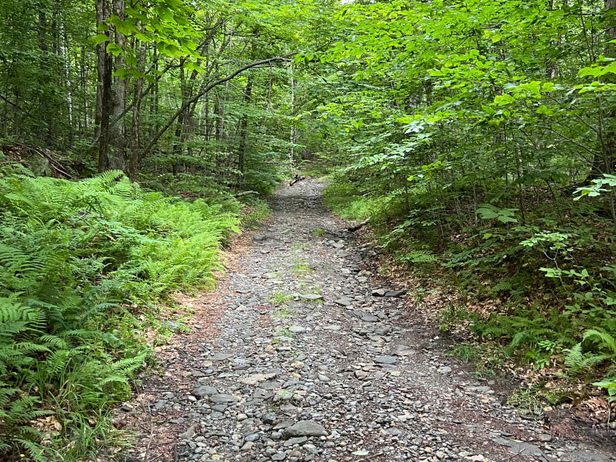 Turnpike Road photo 4