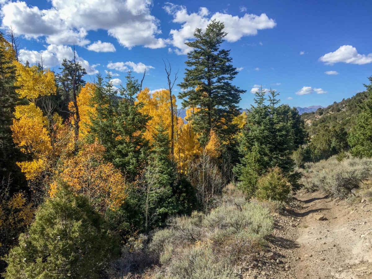 Paiute ATV Trail Rocky Ford photo 3