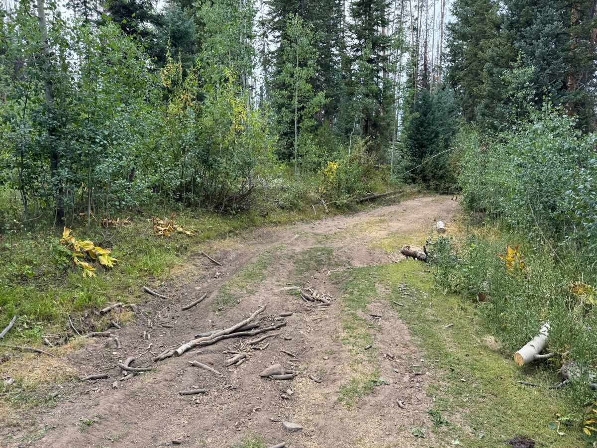 Upper Mill Creek Road - FS 468 photo 5