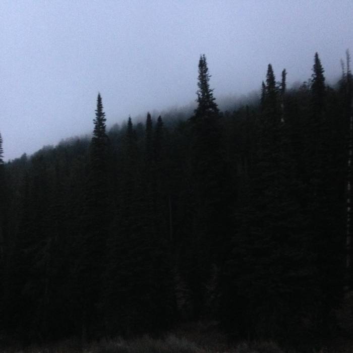 Near Spring Hollow Trail