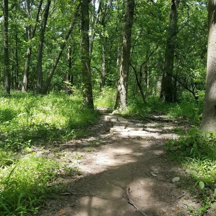 On the Purple Trail north of 95th Street. Near Palos West Side Tour