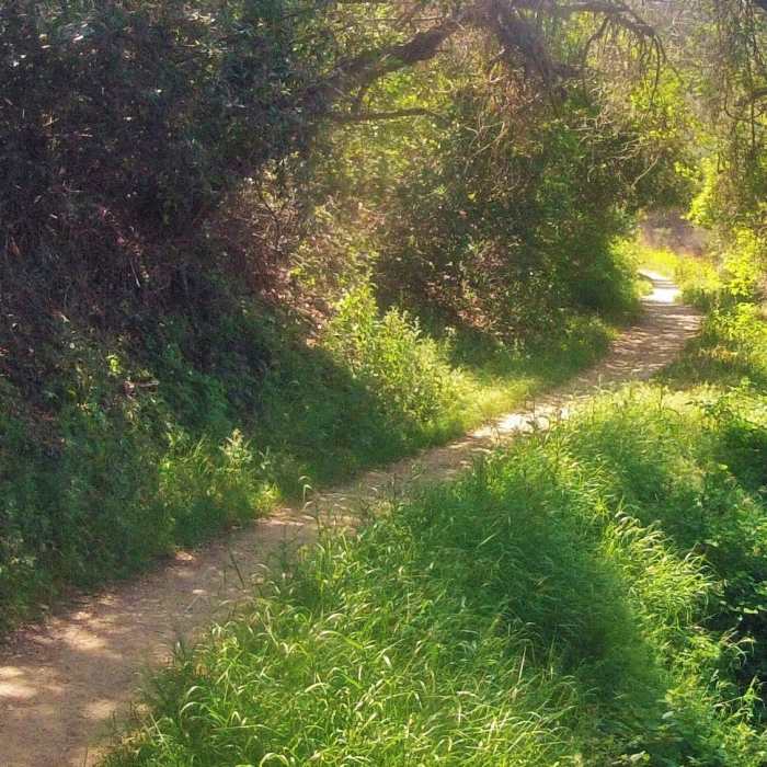 Near Powder Canyon Trail