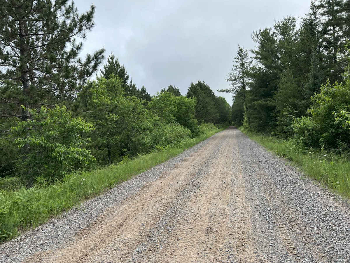 Gogebic County MI Trail LL/3 photo 6