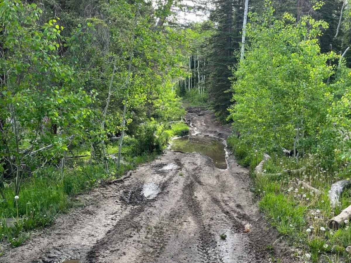 Green Springs Trail photo 3
