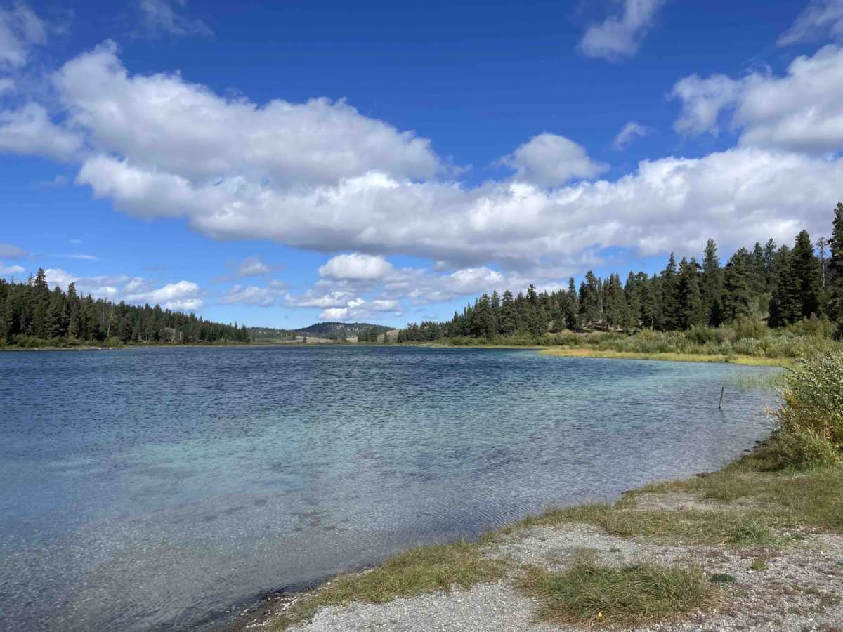 Loon Lake Rd photo 6
