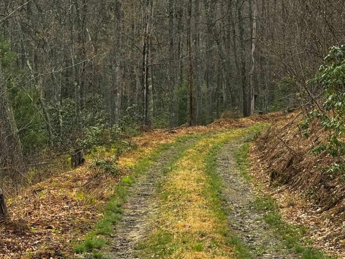 Eagleton Fields Trail photo 3
