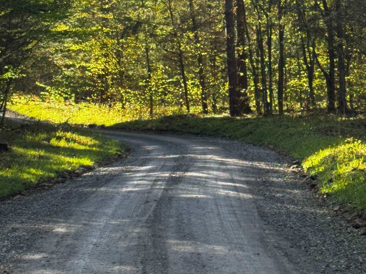 Os Long Road photo 4