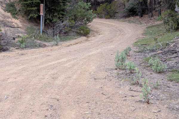 Dubakella Mountain Road - FS 30N27