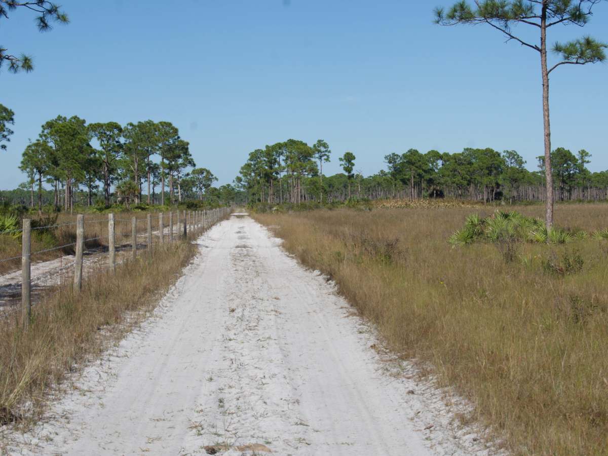 Road 8 photo 2