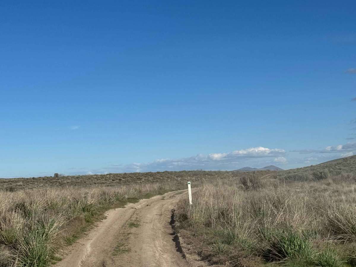 Buffalo Ridge Road trail photo