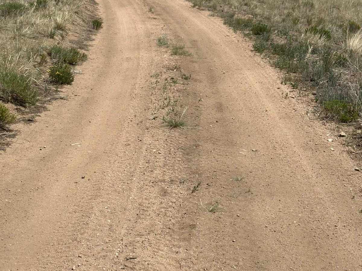 Gunbarrel Road - FS 860 photo 5