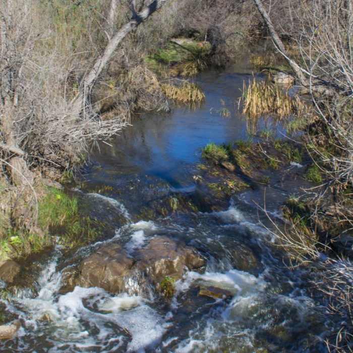 Near Oak Canyon + Grasslands Crossing Loop, Mission Trails Regional Park