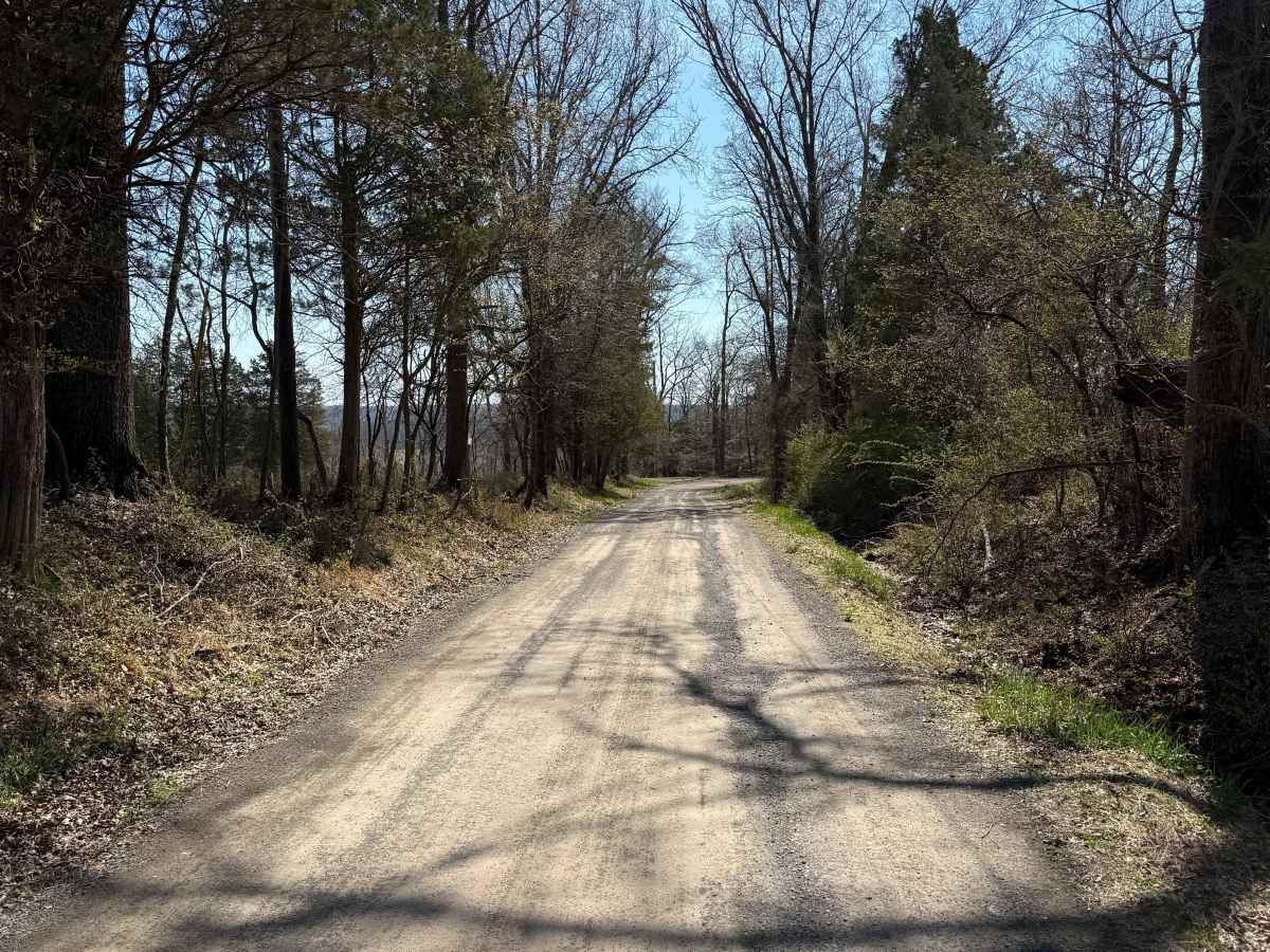 Tettemer Road photo 5