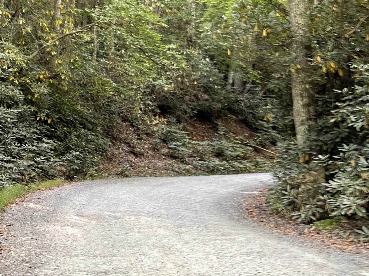 Mill Ridge photo 5