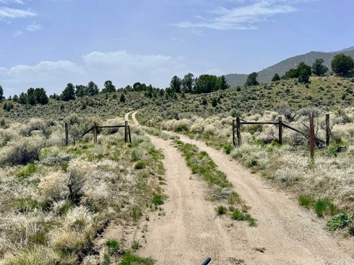 Blackbird Creek Loop - FS 43253 trail photo