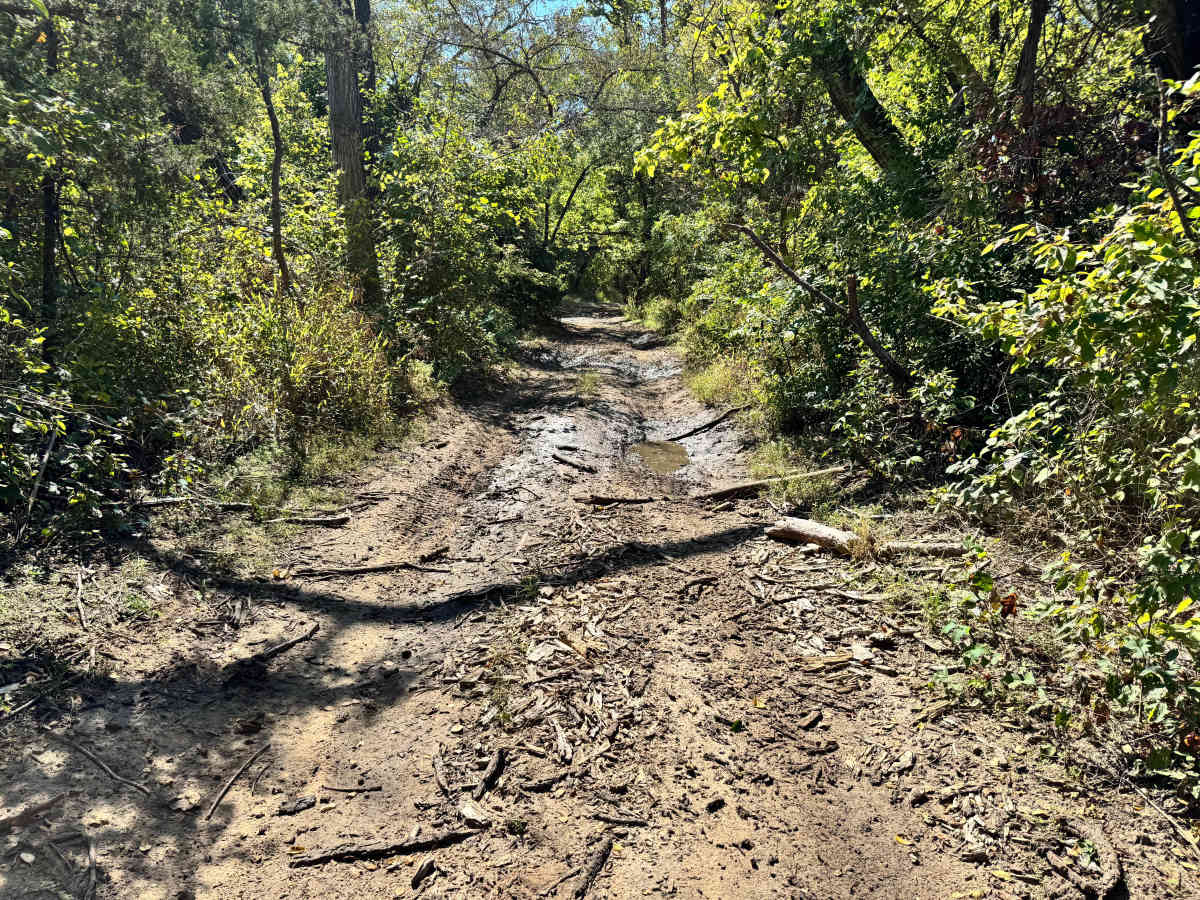 Torque Spec Trail photo 5