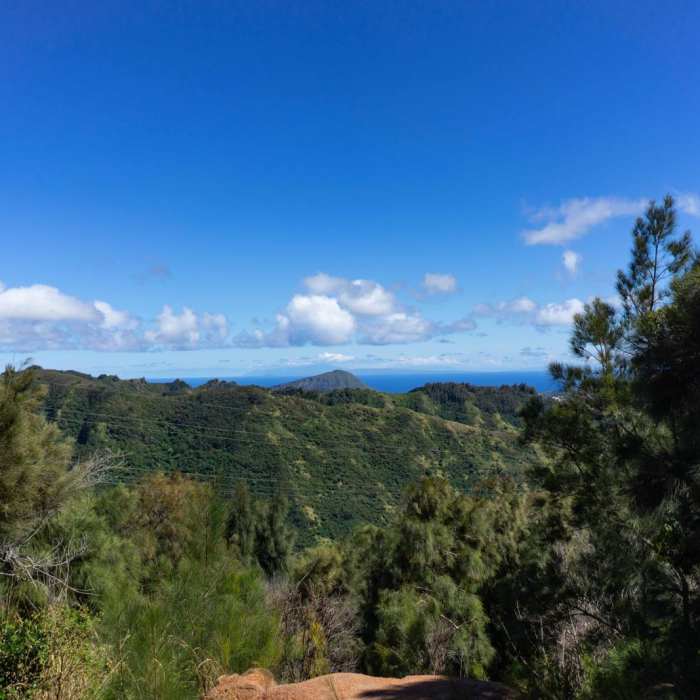 Near Wiliwilinui Trail