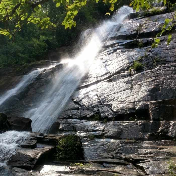 Enjoying the view in mid July. Near Falls Creek Falls